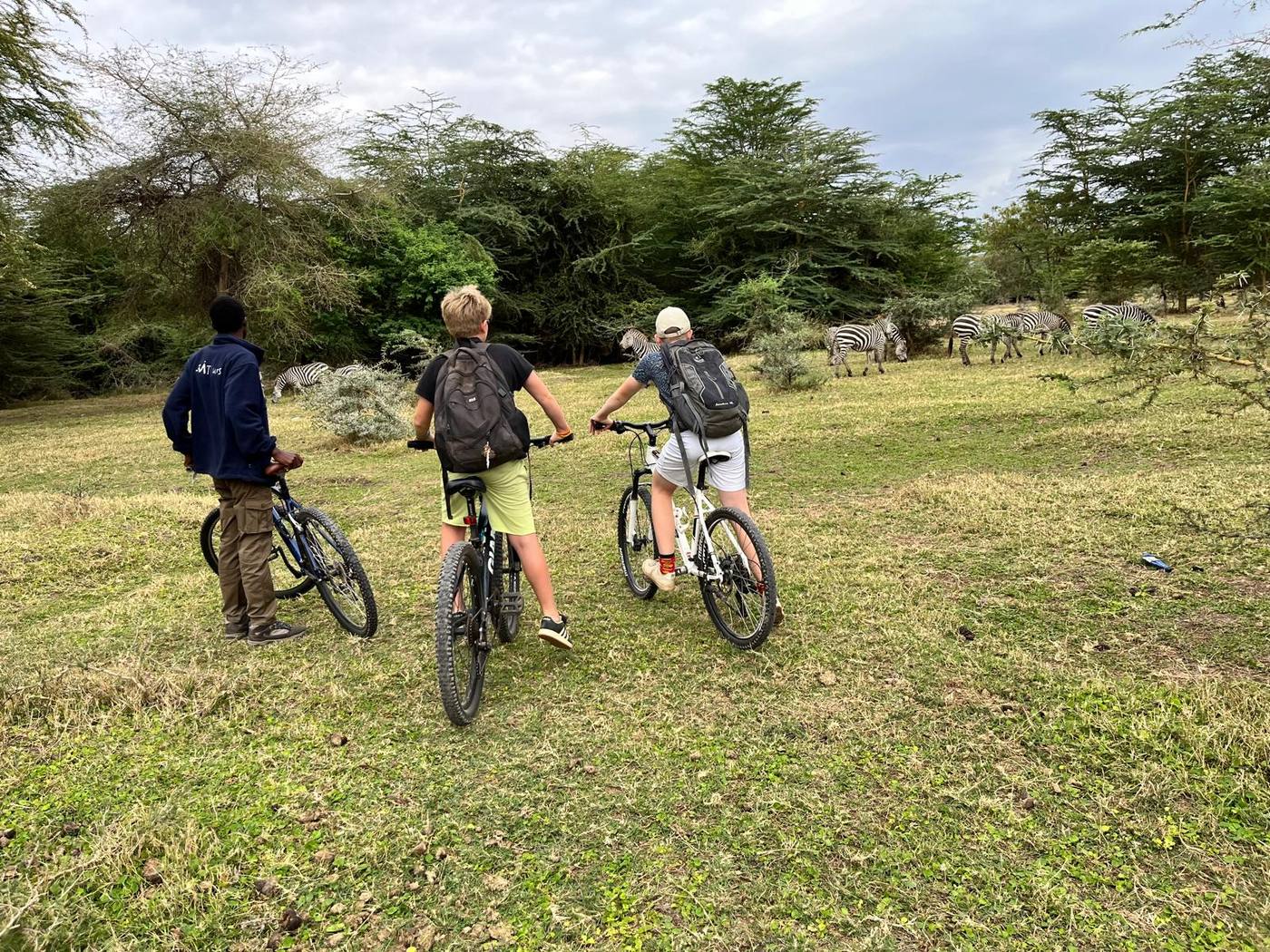 À vélo au milieu des zèbres