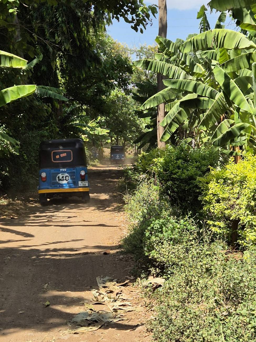 En tuk-tuk sur un chemin de Mto wa Mbu, entre les bananiers