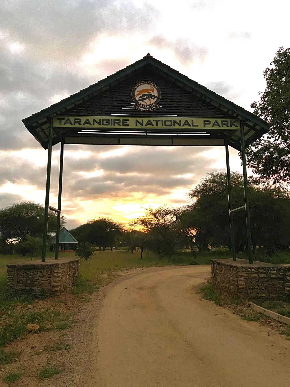 La porte du parc du Tarangire au lever du soleil