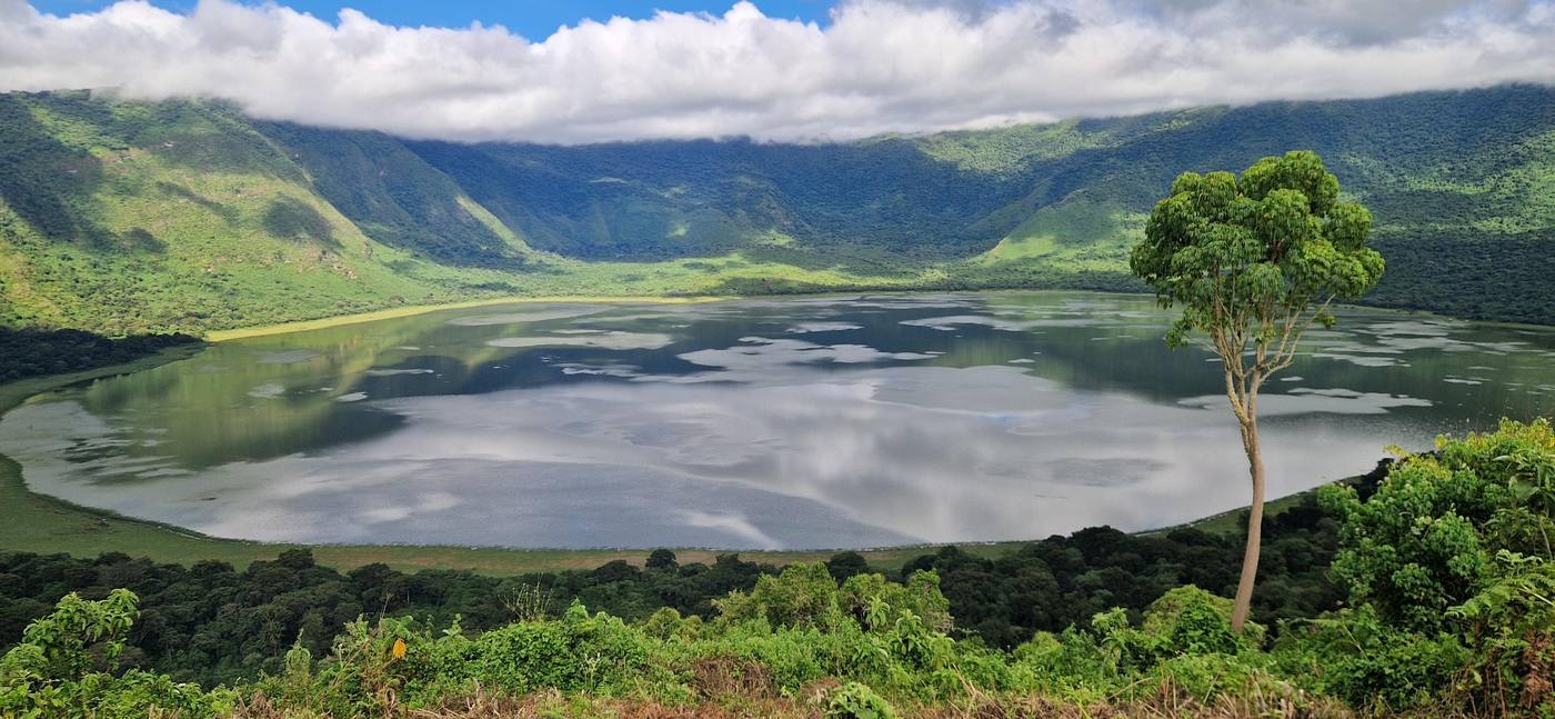Le lac du cratère d’Empakai, un arbre seul au premier plan