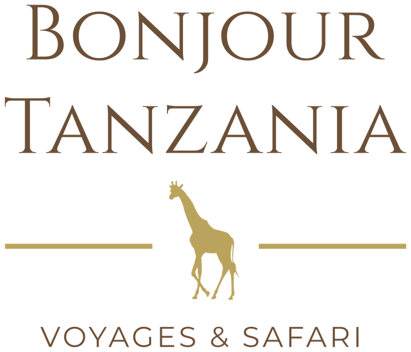 Bonjour Tanzania Voyages & Safari