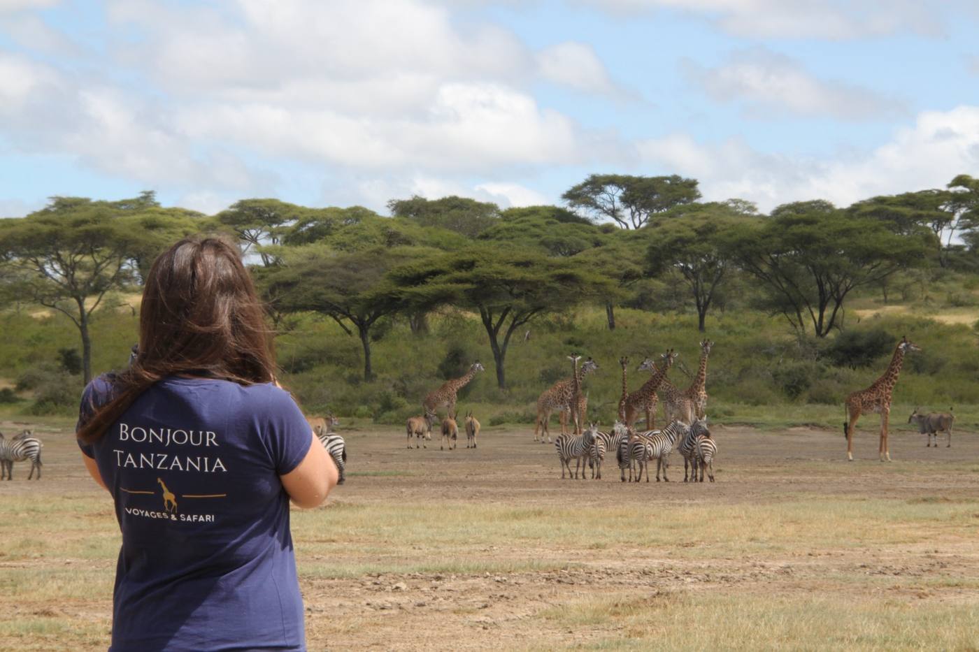 Samantha observe des zèbres et des girafes depuis le bord de la piste